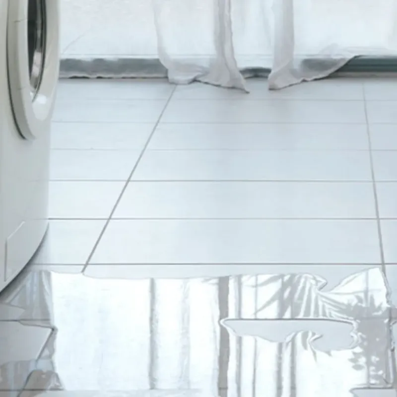 Appliance Leak Cleanup in Deer Isle, ME