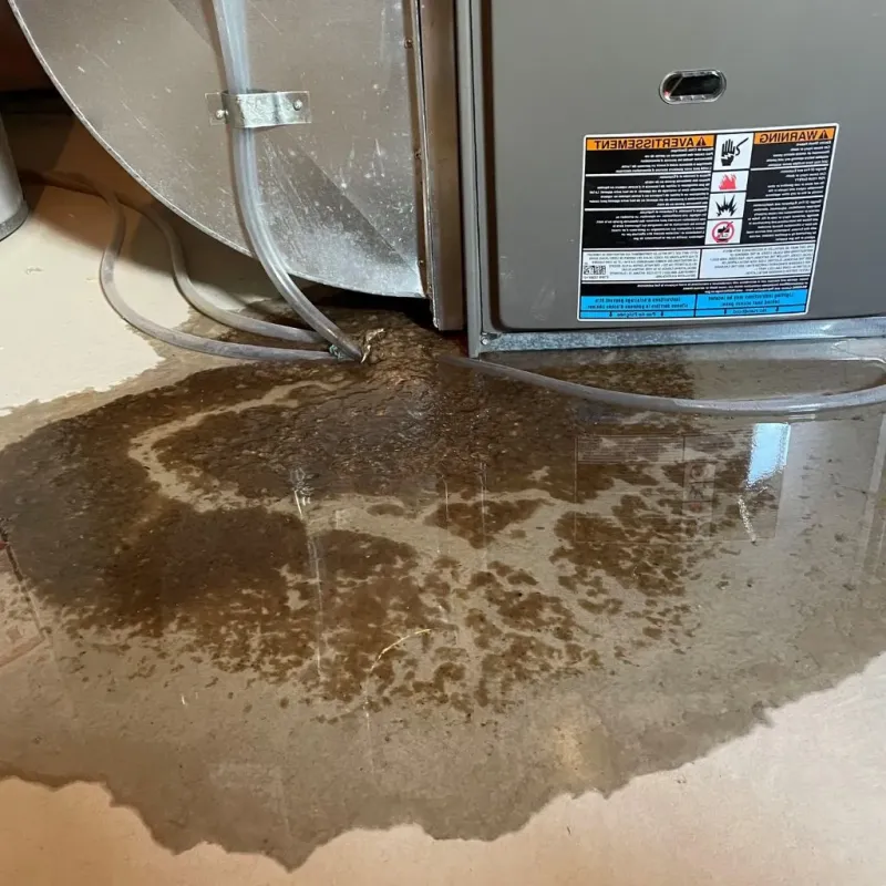 Pipe Burst and Leak Restoration in Deer Isle, ME