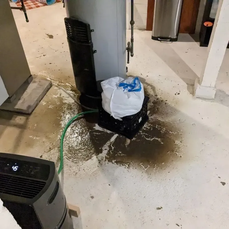Sewage Backup Cleanup Service in Deer Isle, ME